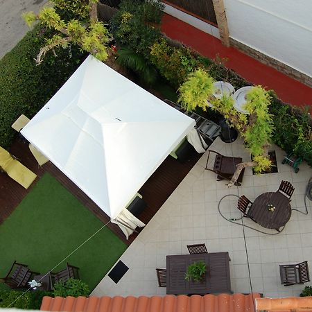 New Opening Villa Oasis Terramar Sitges Exteriör bild
